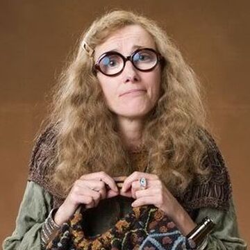 Sybill Trelawney Harry Potter Wiki Fandom