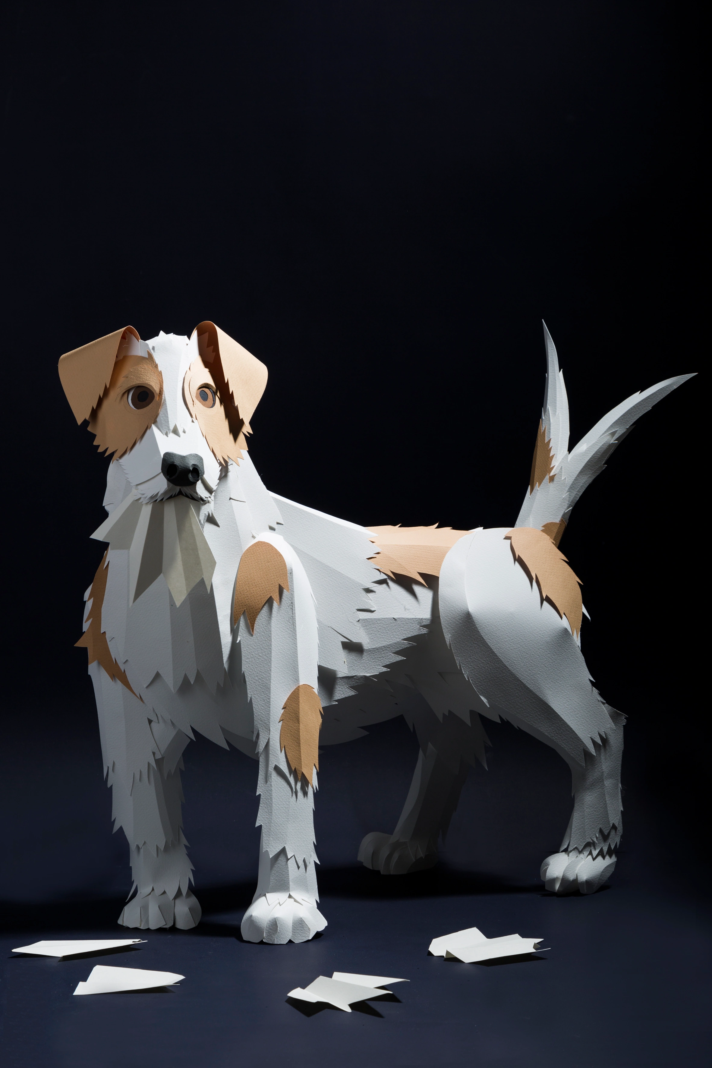 Crup | Harry Potter Wiki | Fandom