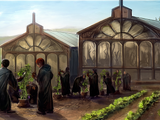 Hogwarts greenhouses