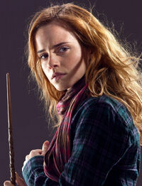 10 Vezes em que Hermione se mostrou uma Bruxa Formidável!