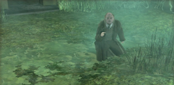 Filch Portable Swamp