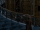 Leta and Pickett.gif