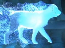 Pottermore Test Du Patronus Wiki Harry Potter Fandom