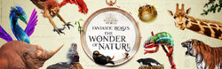 Fantastic Beasts The Wonder of Nature