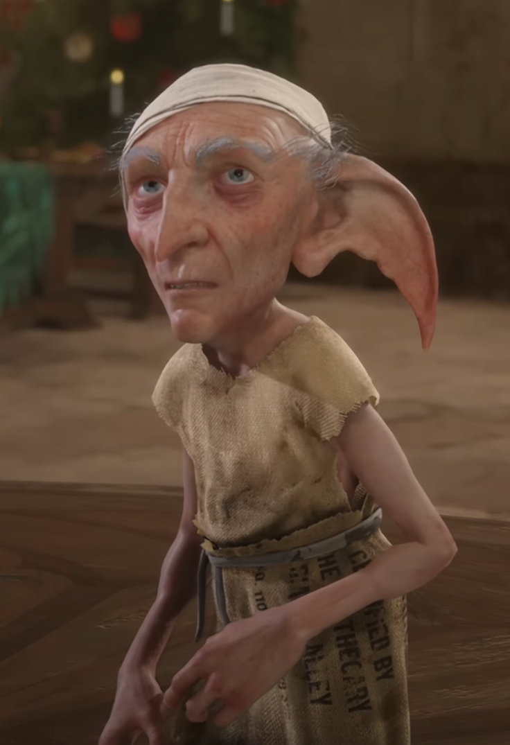 Harry 2024 potter elf