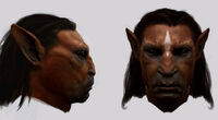 Centaurs (face close up - conceptual artwork)