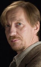 Remus Lupin profile