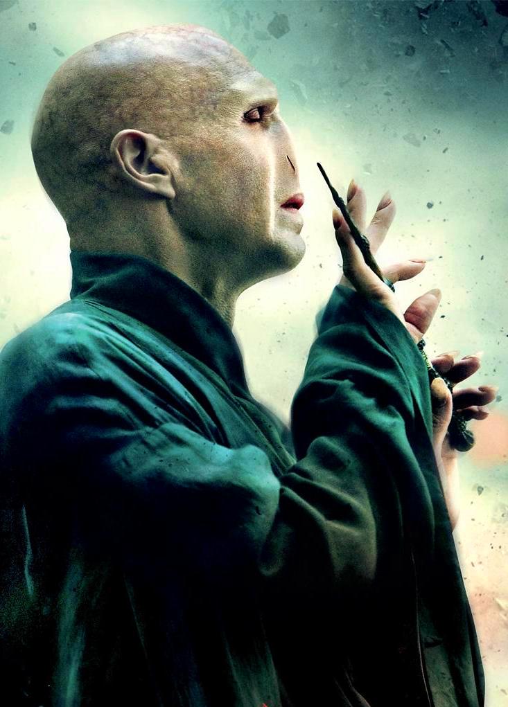 ralph fiennes voldemort side by side