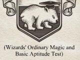 巫师普通魔法及基础资质测试