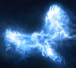 Albus Dumbledore's Patronus, a phoenix.