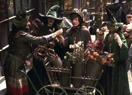 Florist's stall