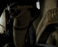Snake