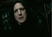 Snape head