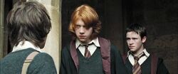 Harry-potter-goblet-of-fire-harry, ron, seamus