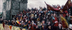 Quidditch pitch fans