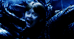 Ronald Weasley being strangled by the Devil's Snare