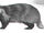 Badger