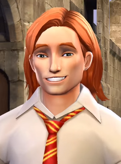 BillWeasleyHogwartsMystery