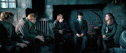 ロナルド ウィーズリー Harry Potter Wiki Fandom