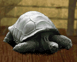 Teapot to Tortoise.gif