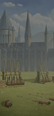 Training Grounds PAS