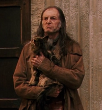 Argusfilch