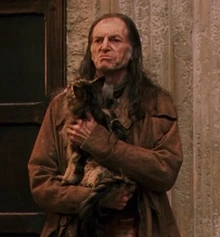 David Bradley Harry Potter Wiki Fandom