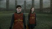 Equipe de Quidditch de Gryffondor sélections 1996