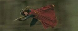 Harry-potter-half-blood-demelza