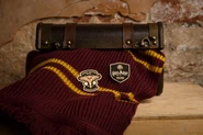 Harry Potter New Exclusive Products York 3.jpg (70 KB) Harry Potter New York Pins
