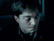 Immagine.jpg (17 КБ) Гарри Поттер под действием Жалящего заклинания