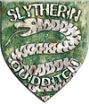 Slytherin™ Quidditch™ Badge