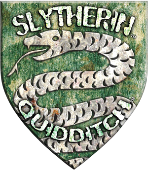 slytherin quidditch team