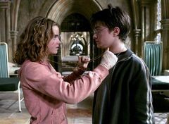 Time-TurnerHarryHermione