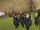Care of Magical Creatures Flying class HM5FF.png
