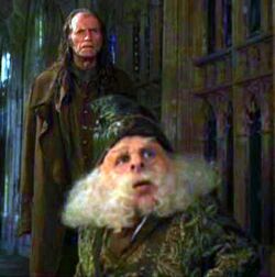 Filch and Flitwick COSF
