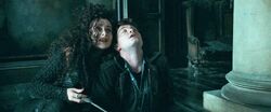 Harry-potter-deathly-hallows1 harry bellatrix