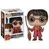 008 Quidditch Harry Potter[5]