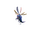 Billywig PAS.png