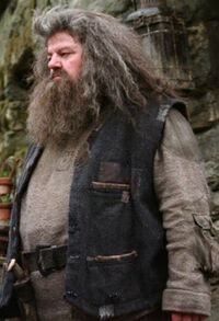 Hagrid OP