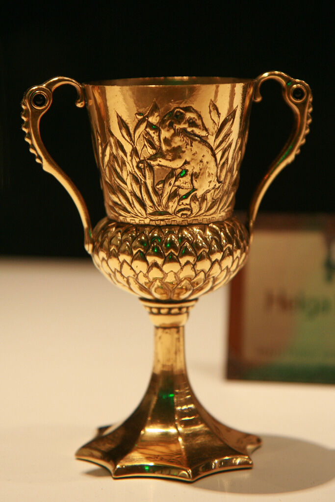 Hufflepuffs Becher Harry Potter Lexikon Fandom