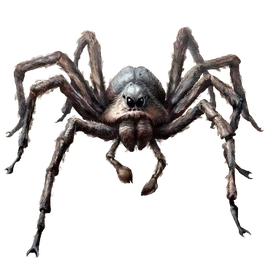 Acromantula