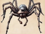 Acromantula