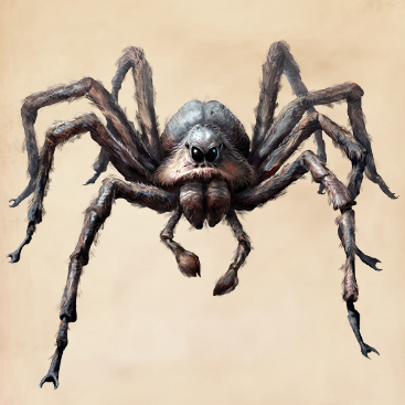 harry potter and the chamber of secrets spider