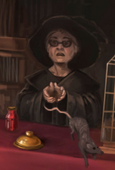 B3C4M2 cropped Magical Menagerie saleswoman