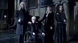 Draco Malfoy, his parents and Bellatrix Lestrange