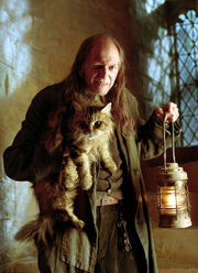 Filch-Norris