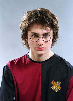 Harry potter shop triwizard tournament