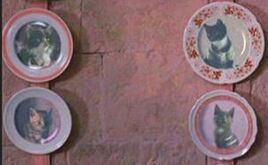 Assiettes Chats