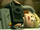 Creevy.png